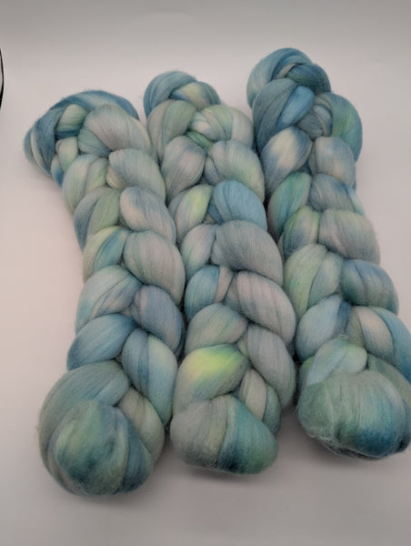 Hand Dyed Polwarth 100g