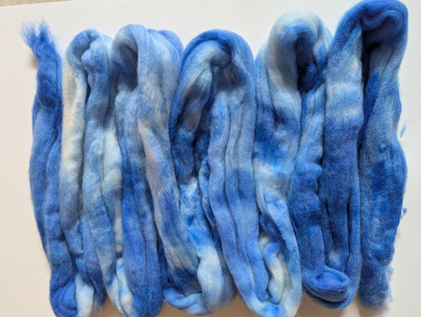 75/25 Polwarth/Nylon 100g